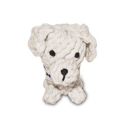 Puppy Tapsi