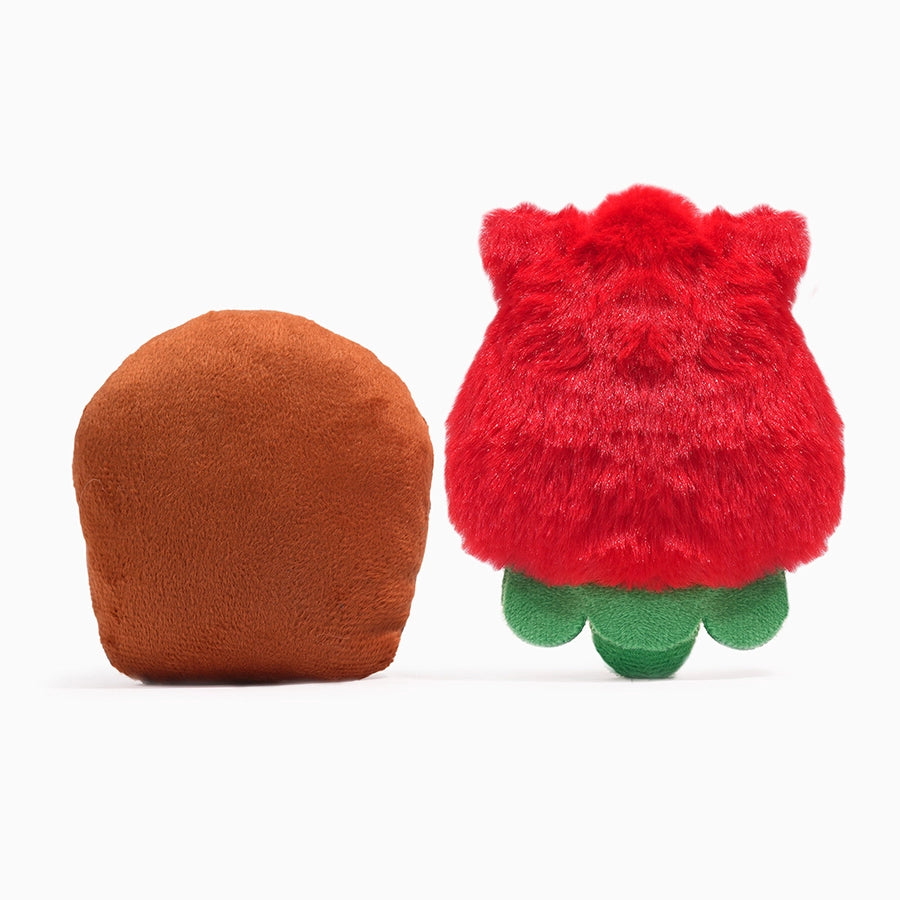 Chocolate &amp; Rose