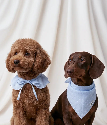 Lola Baby Blue Collar