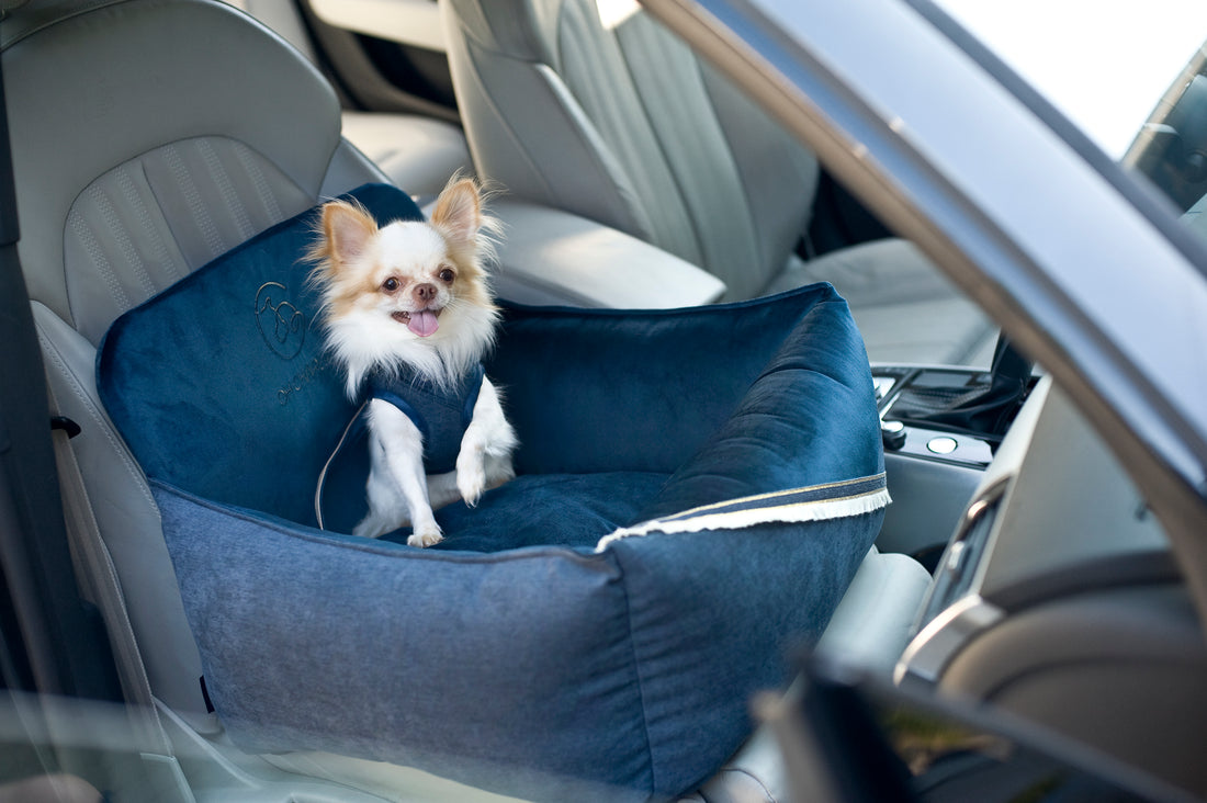 Glamour car seat belts for dogs