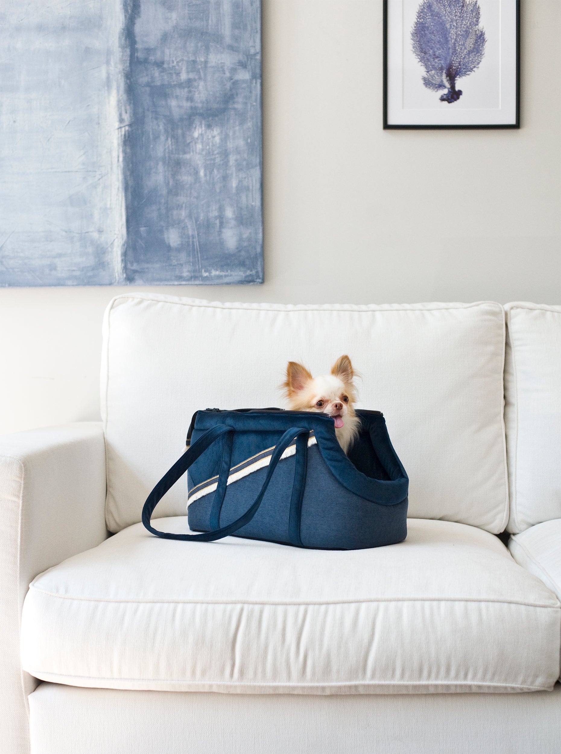 Allure Dog Travel Bag