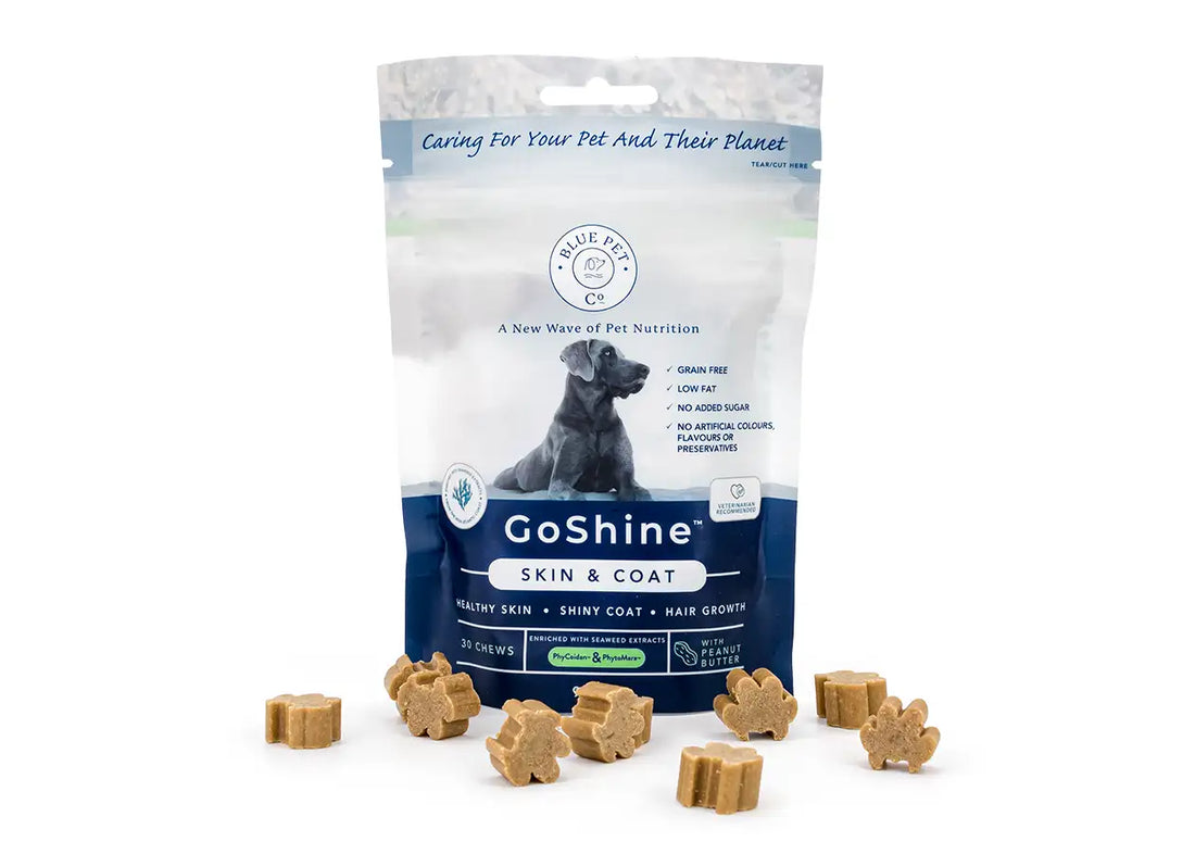 żelko-suple, skóra i sierść, GoShine