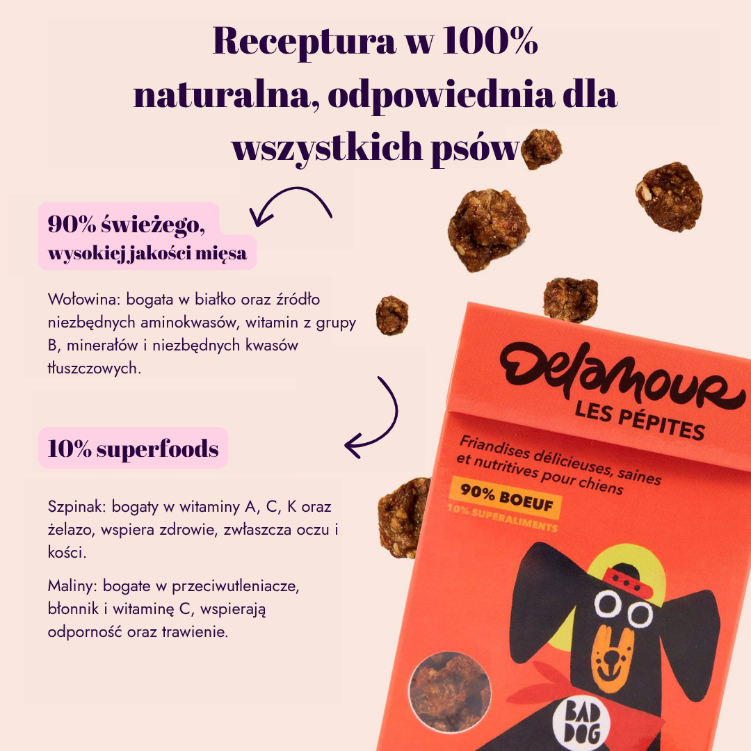 Air-dried beef treats Les Pépites (75 g)