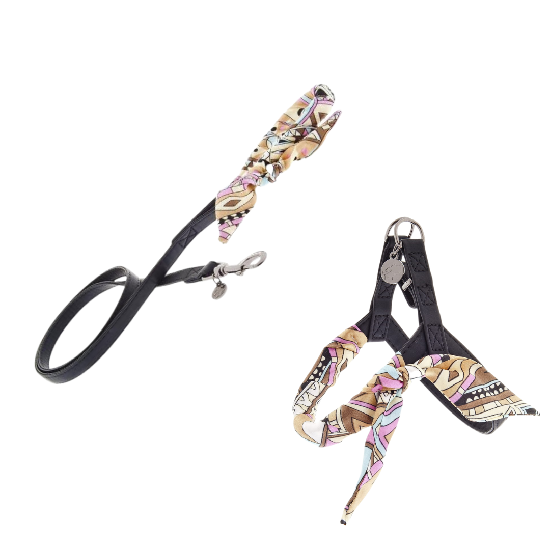 Luksusowy zestaw spacerowy dla psa, czerń