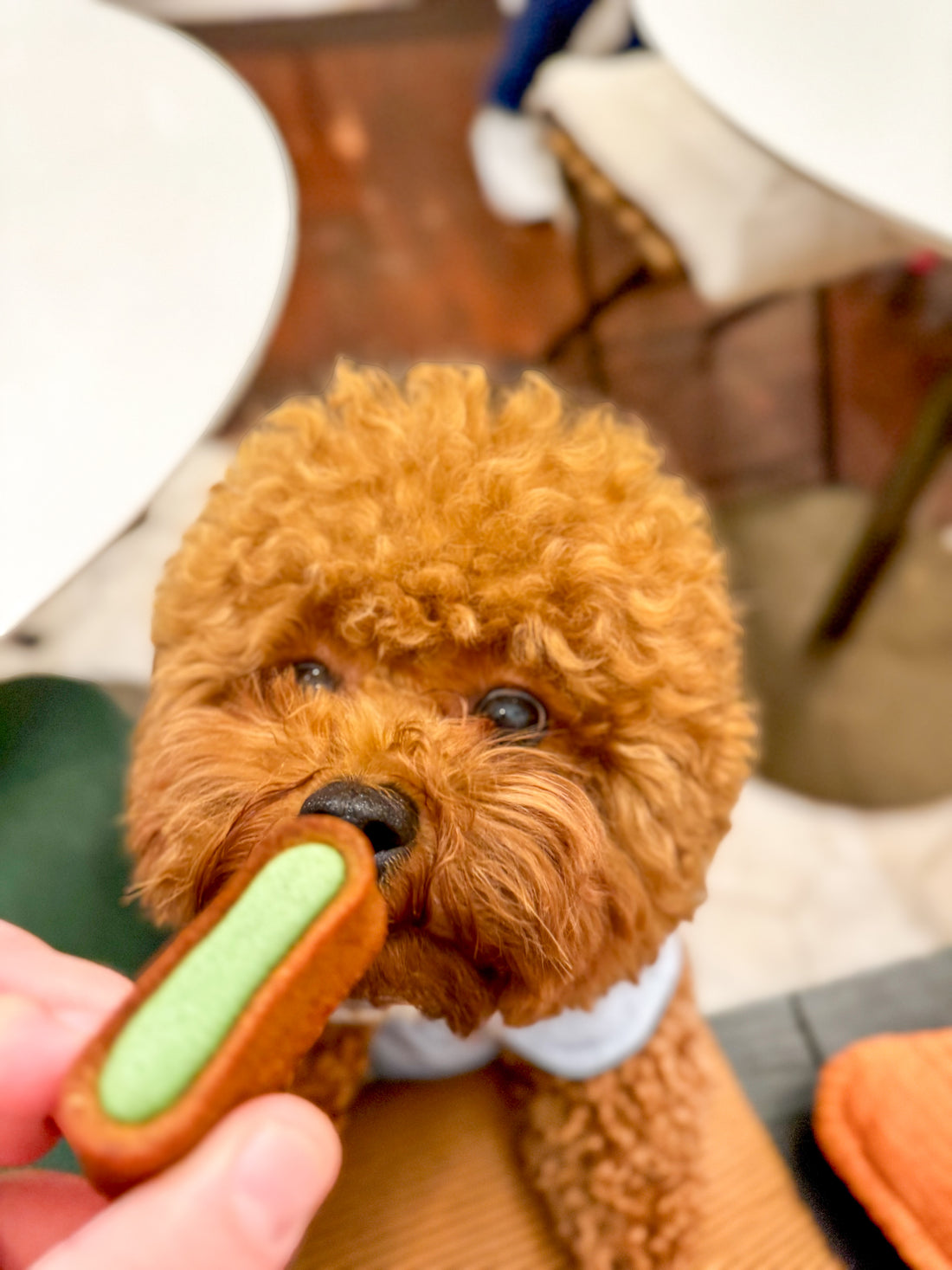 Francuskie wyroby cukiernicze Le Moelleux na świeży oddech 100g