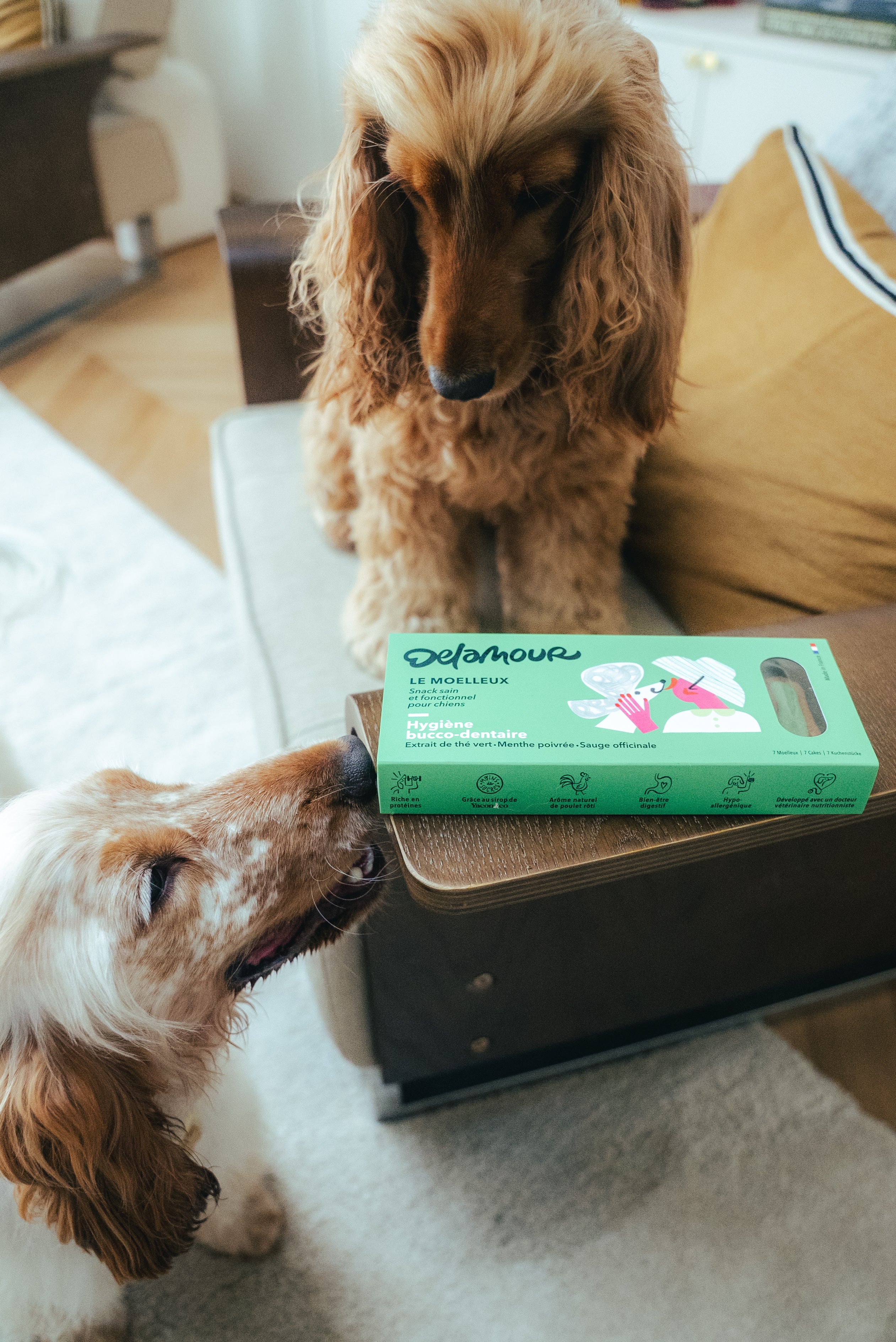 French confectionery Le Moelleux for fresh breath 100g