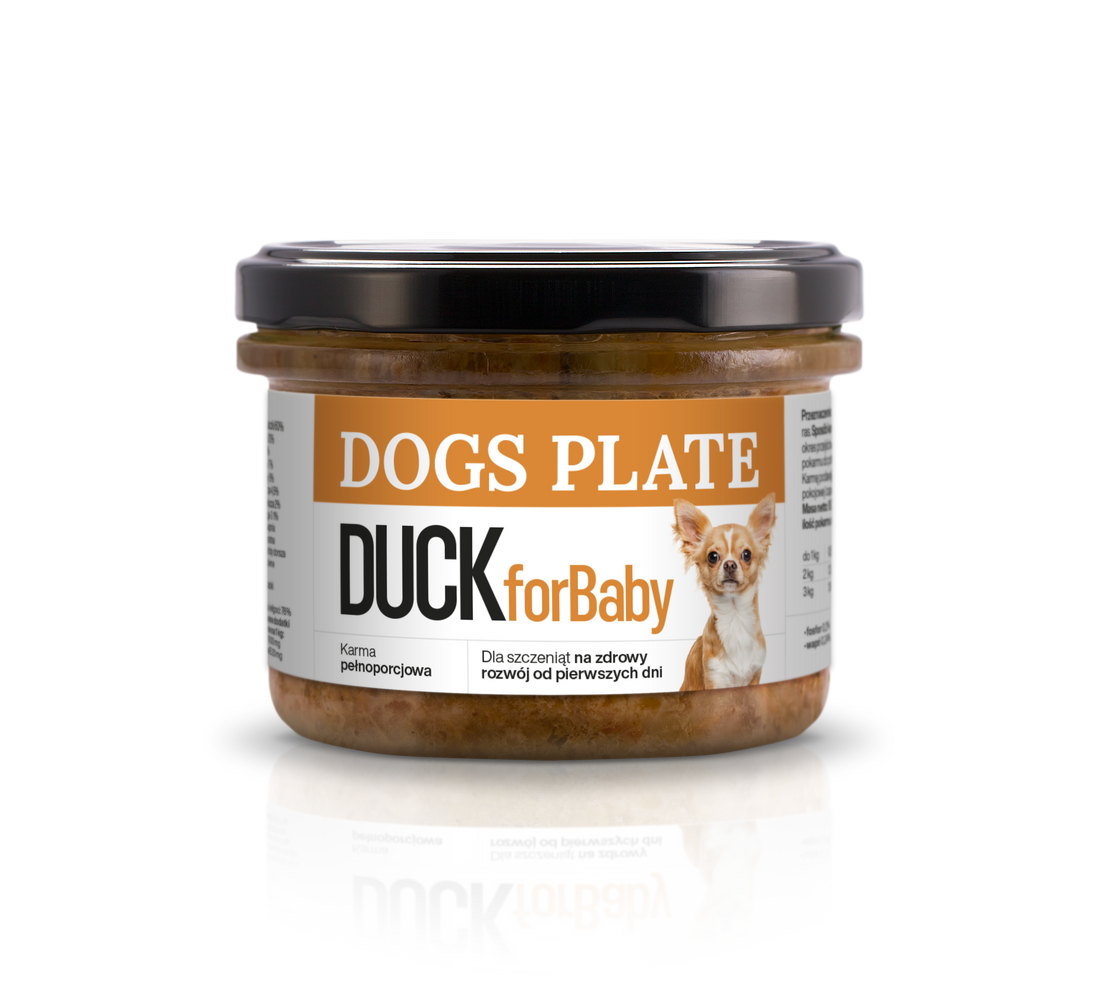 Mokra Karma Junior Kaczka