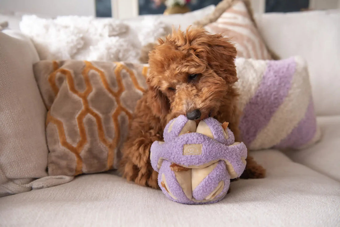 Floofs cookies - Knotted Smell Toy Purple