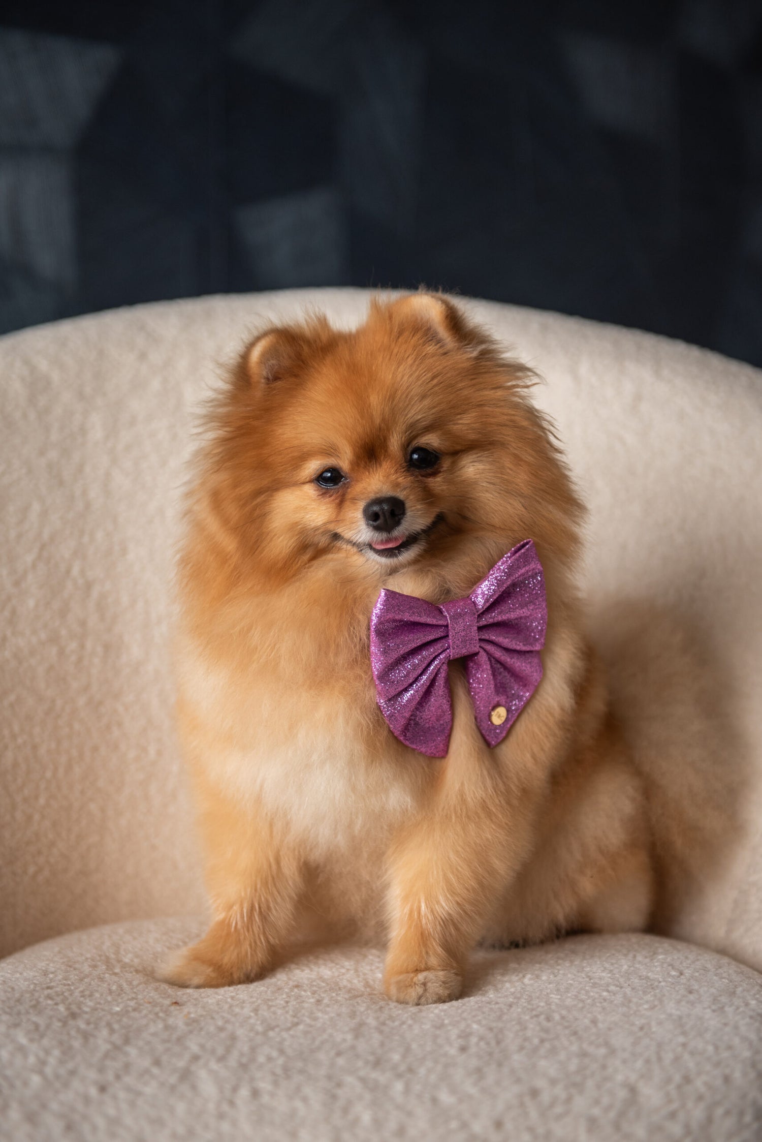 Luksusowa muszka Christmas dla psa na Boże Narodzenie, glitter liliowa