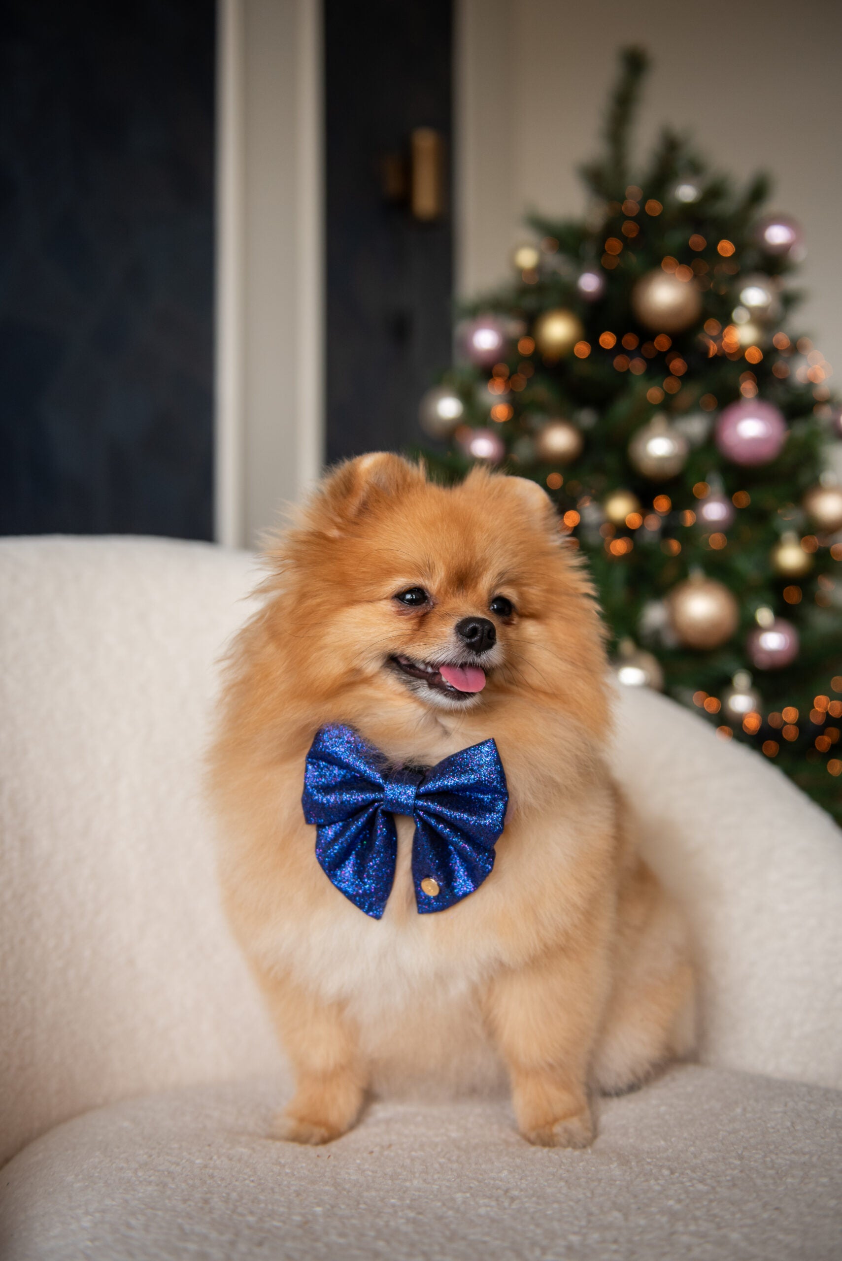 Luksusowa muszka Christmas dla psa na Boże Narodzenie, glitter liliowa