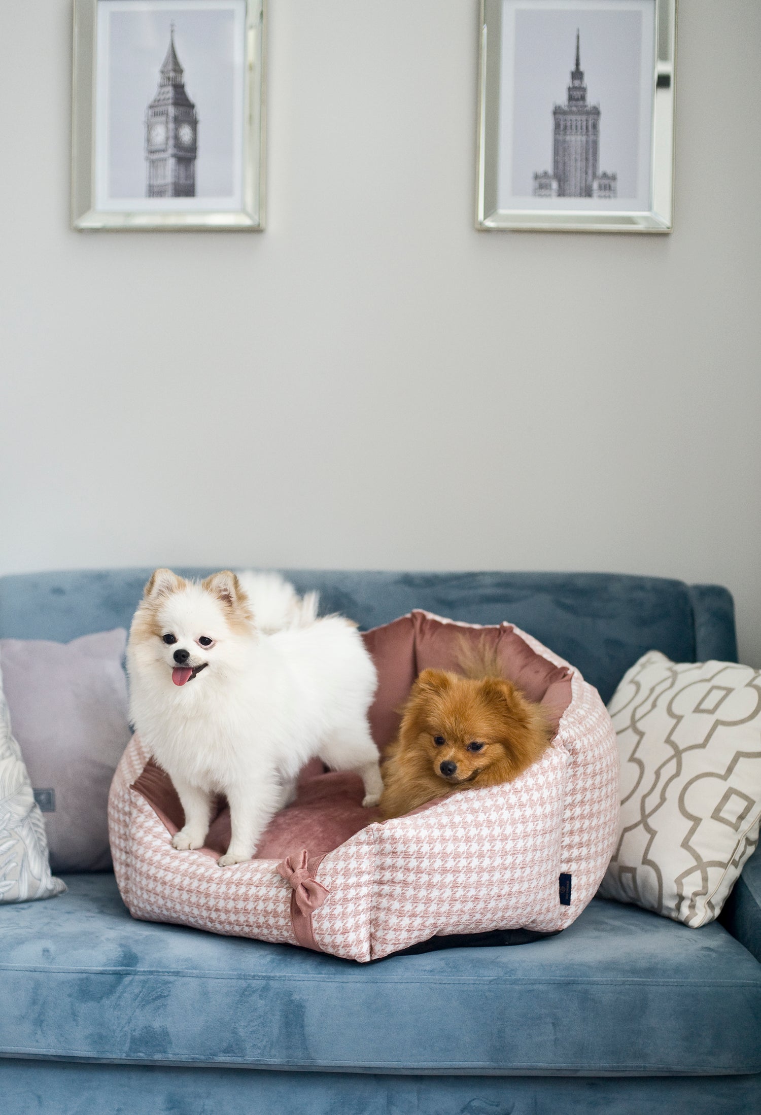 Glamour Luxury Dog Bed, Pink