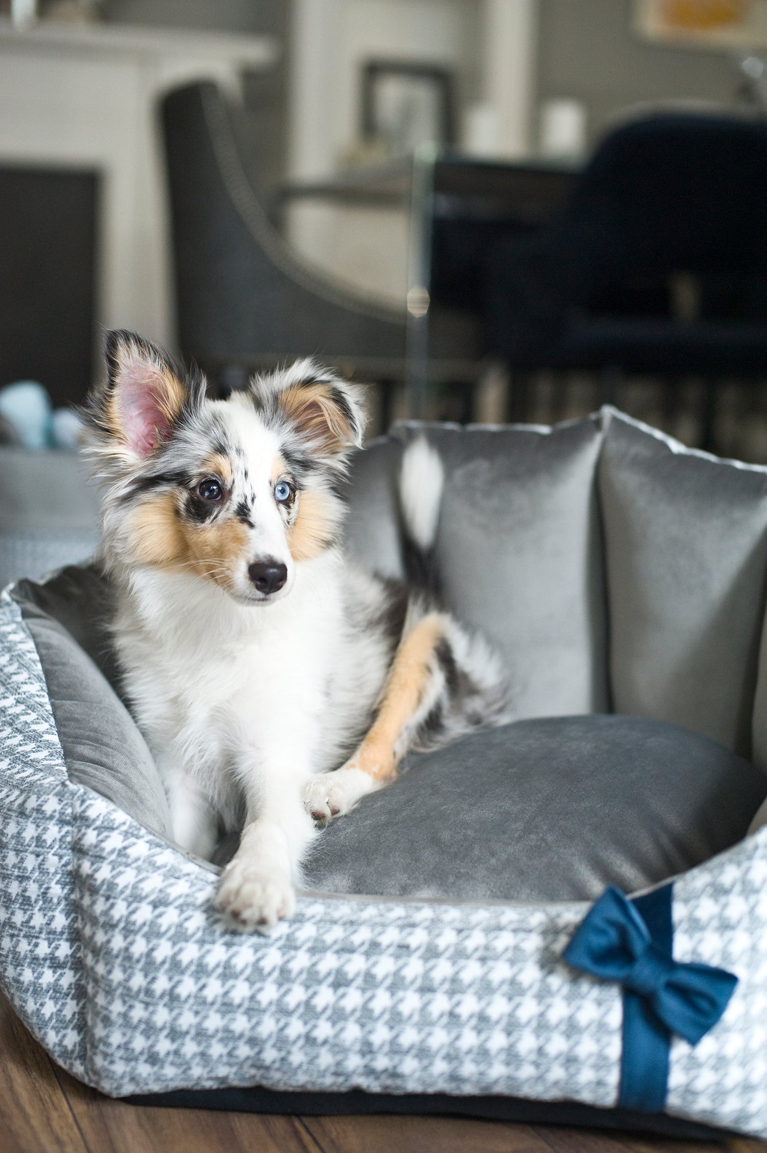 Luksusowe legowisko Glamour dla psa, szare