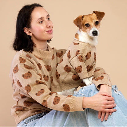 Matchy-matchy toffee bear sweater for the owner