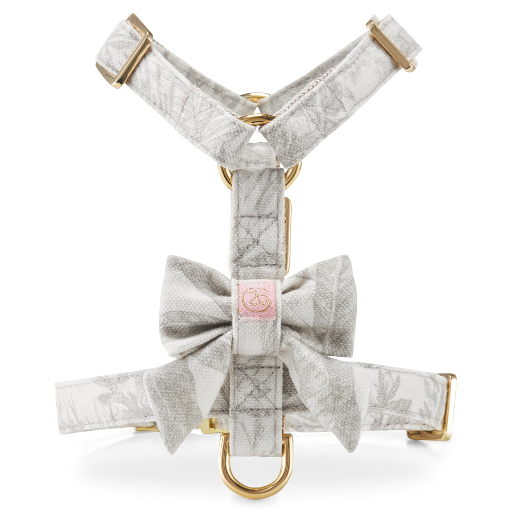 Szelki guard Lumière