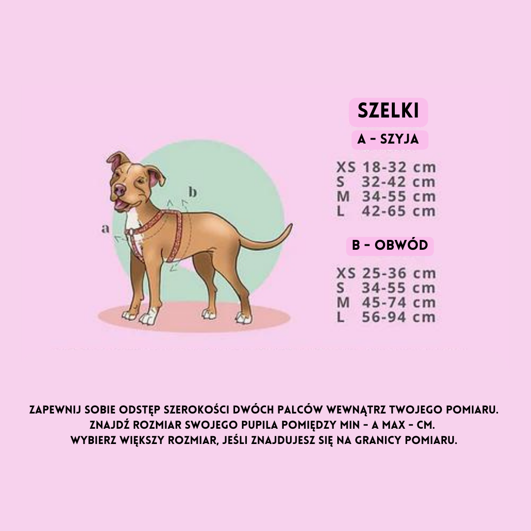 Luksusowe szelki Teddy Sand, złote okucia