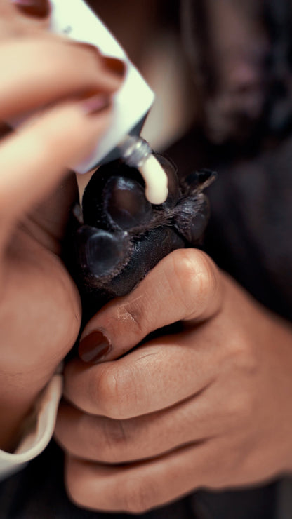 Krem do opuszków i nosa Dog Obsession 75ml