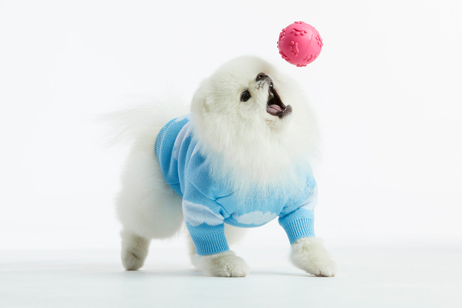 Błękitny sweterek dla psa w chmurki