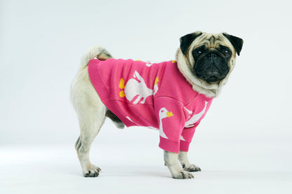 Różowy sweterek dla psa w gęsi