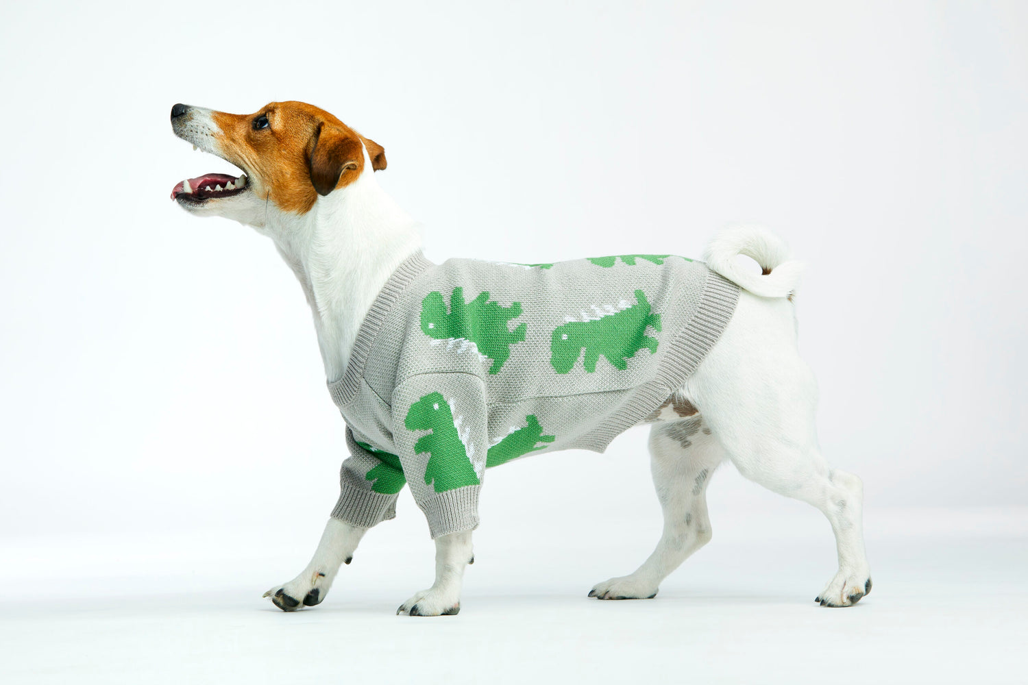 Szary sweterek dla psa w dinozaury