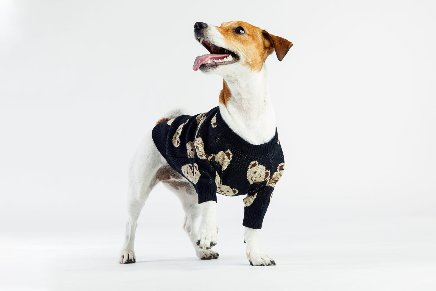 Czarny sweterek dla psa w misie