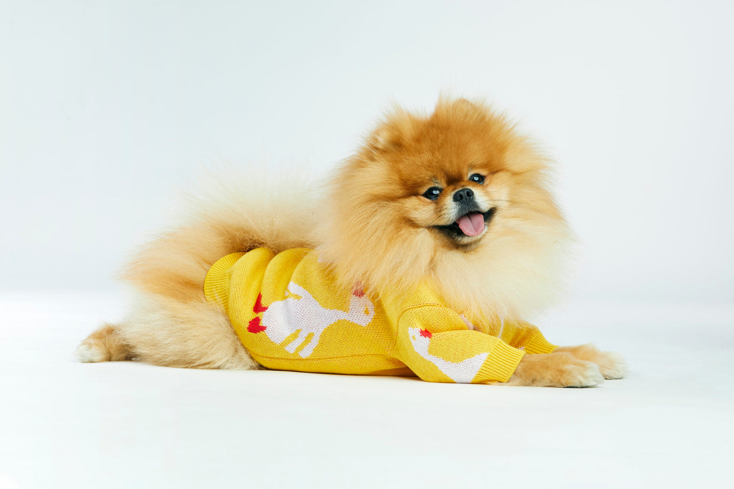 Żółty sweterek dla psa w gęsi