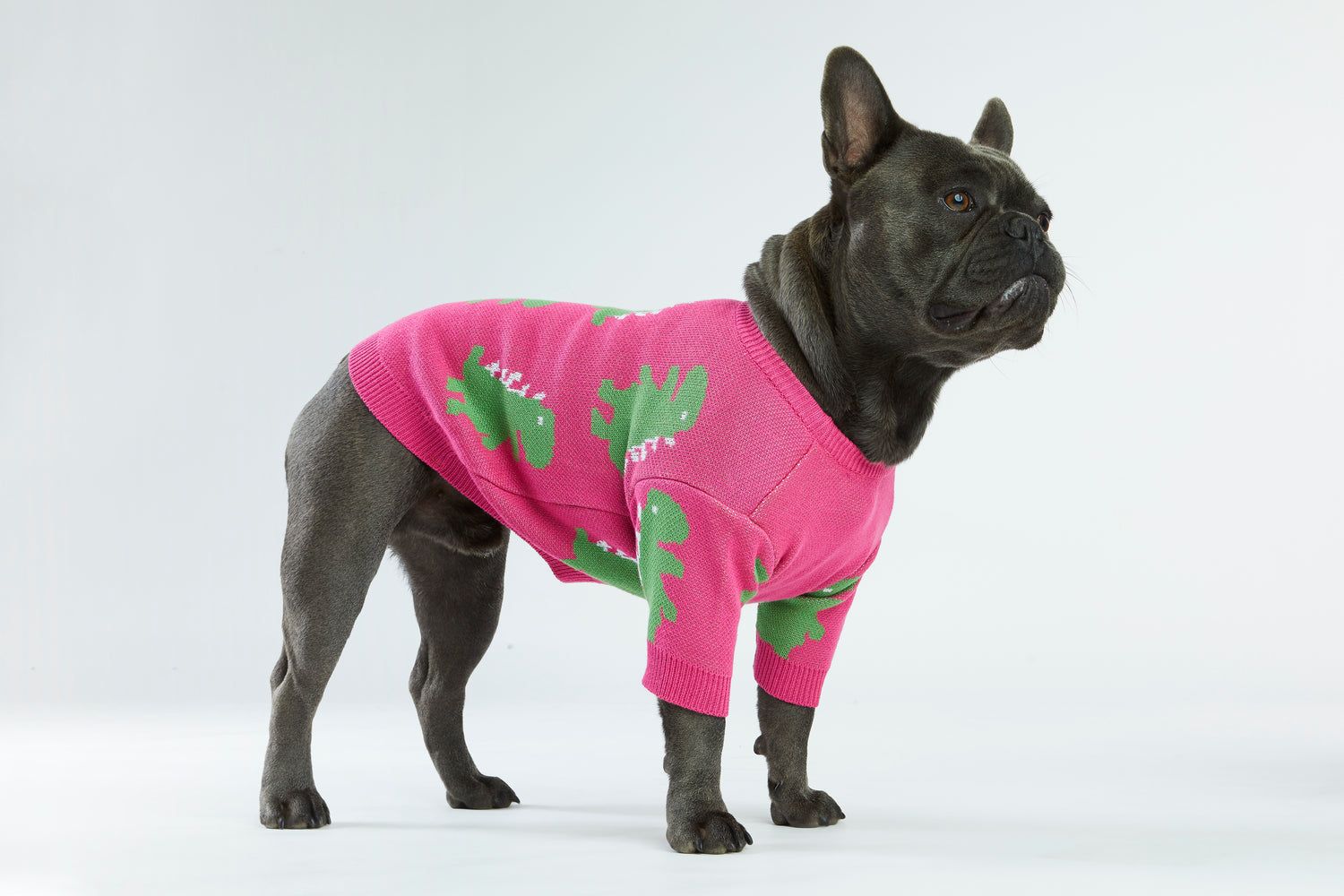 Różowy sweterek dla psa w dinozaury