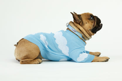 Błękitny sweterek dla psa w chmurki