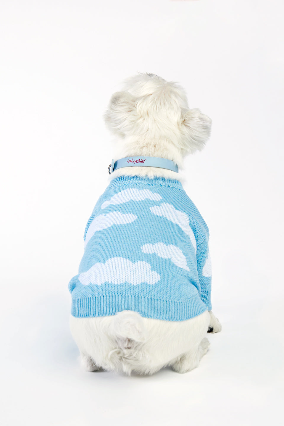 Błękitny sweterek dla psa w chmurki