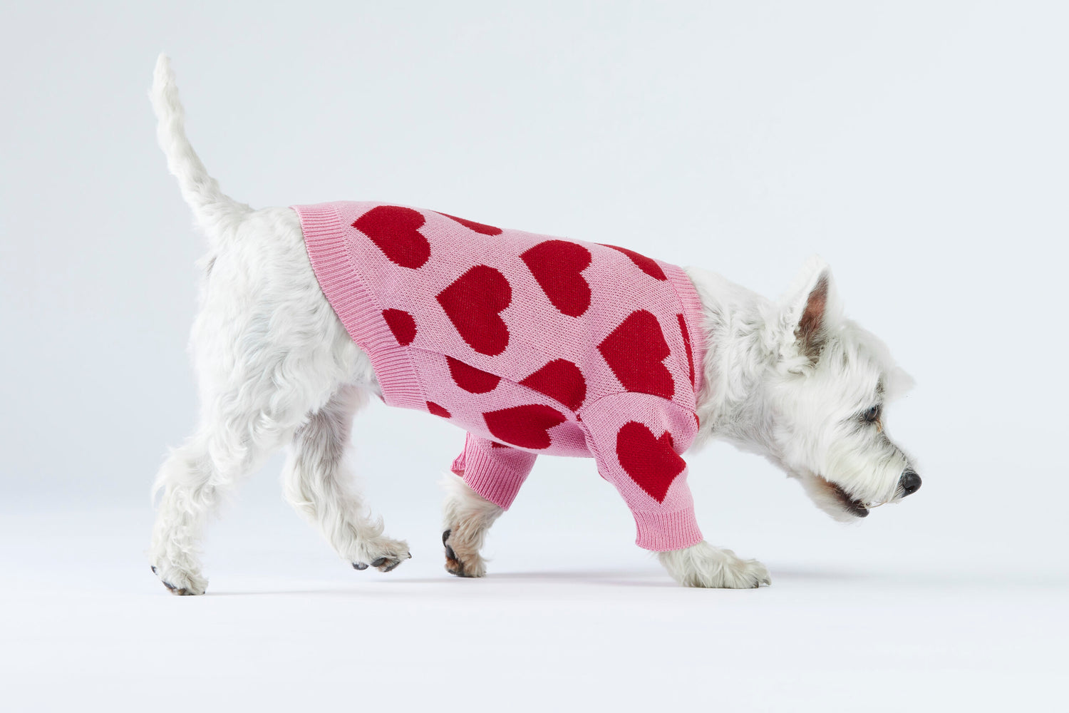 Różowy sweterek dla psa w serduszka