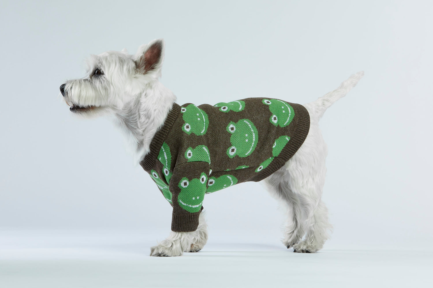 Brązowy sweterek dla psa w żabki