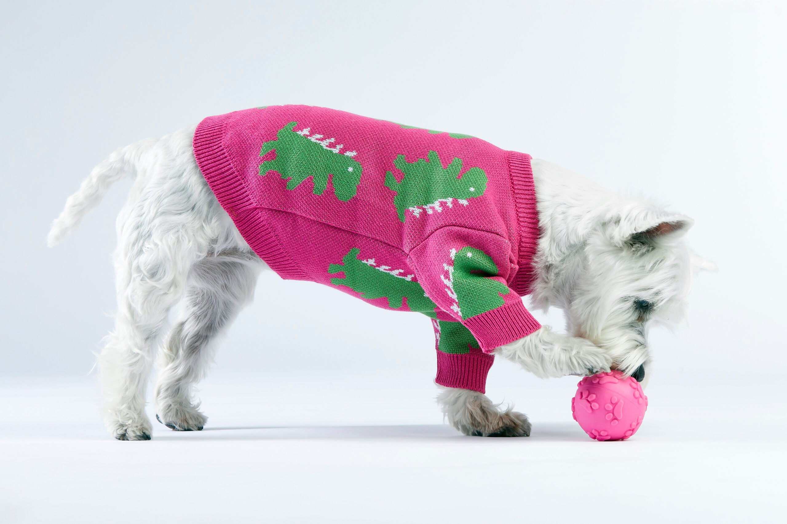 Różowy sweterek dla psa w dinozaury