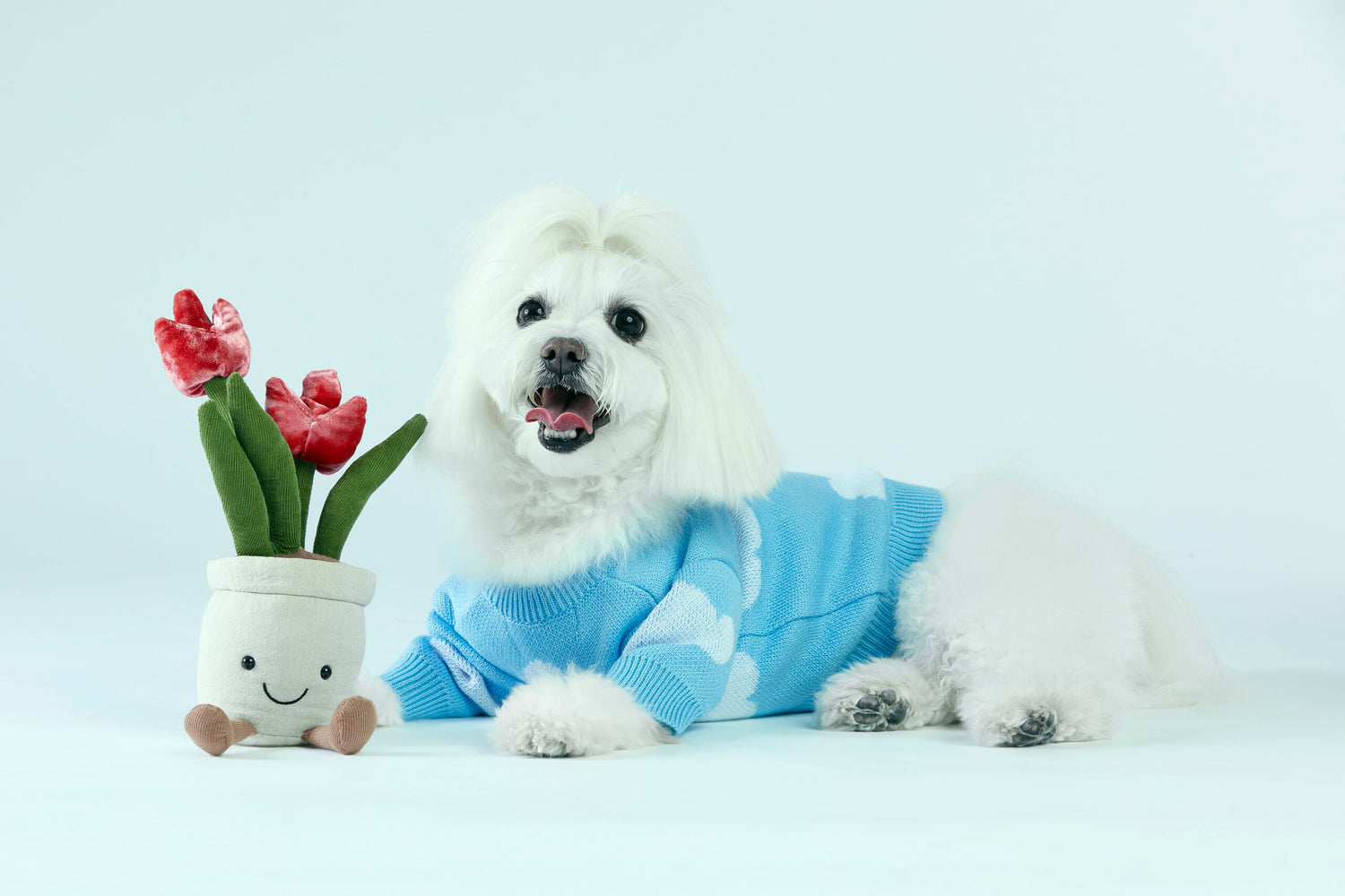 Błękitny sweterek dla psa w chmurki