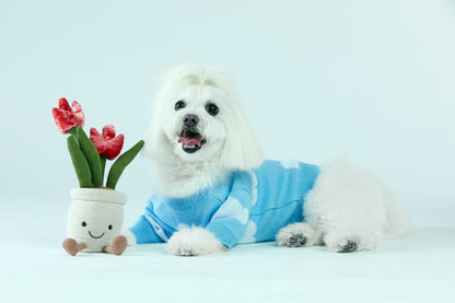 Błękitny sweterek dla psa w chmurki