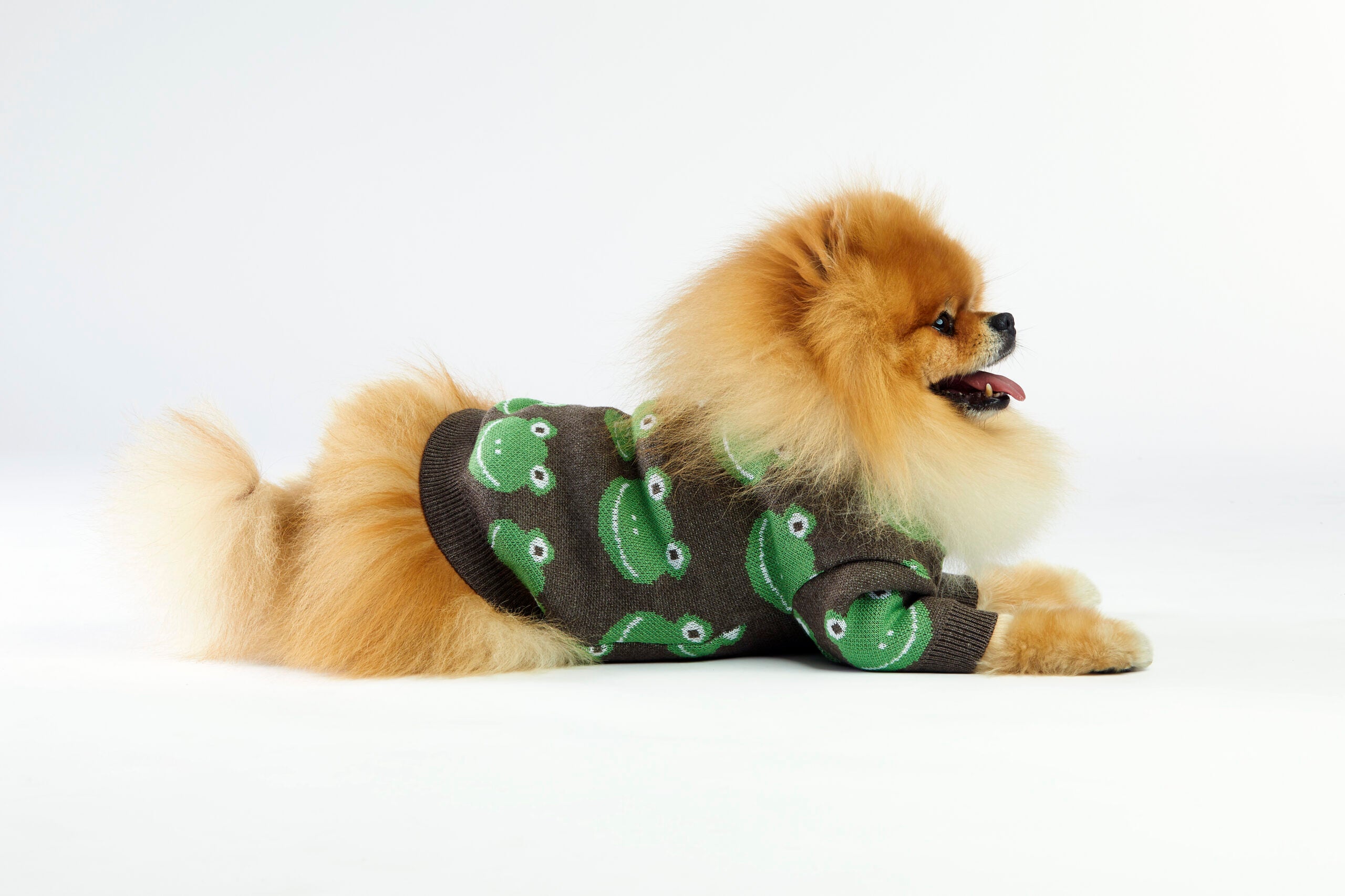 Brązowy sweterek dla psa w żabki