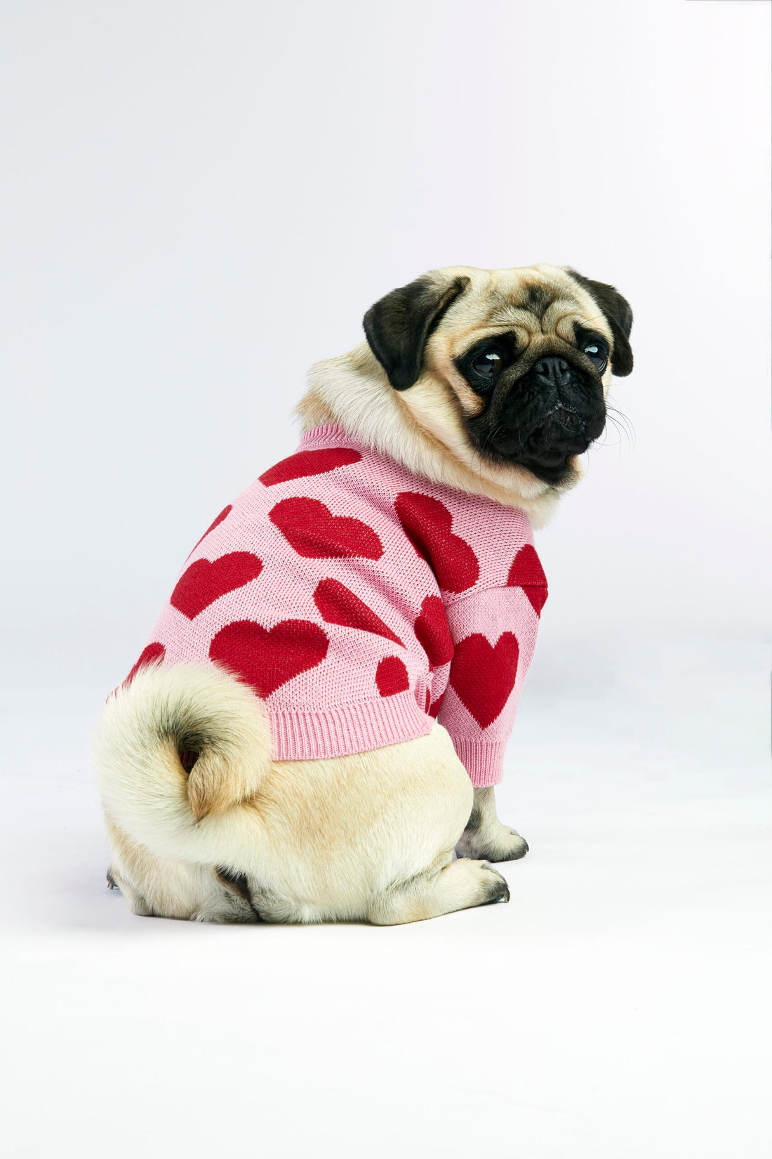 Różowy sweterek dla psa w serduszka