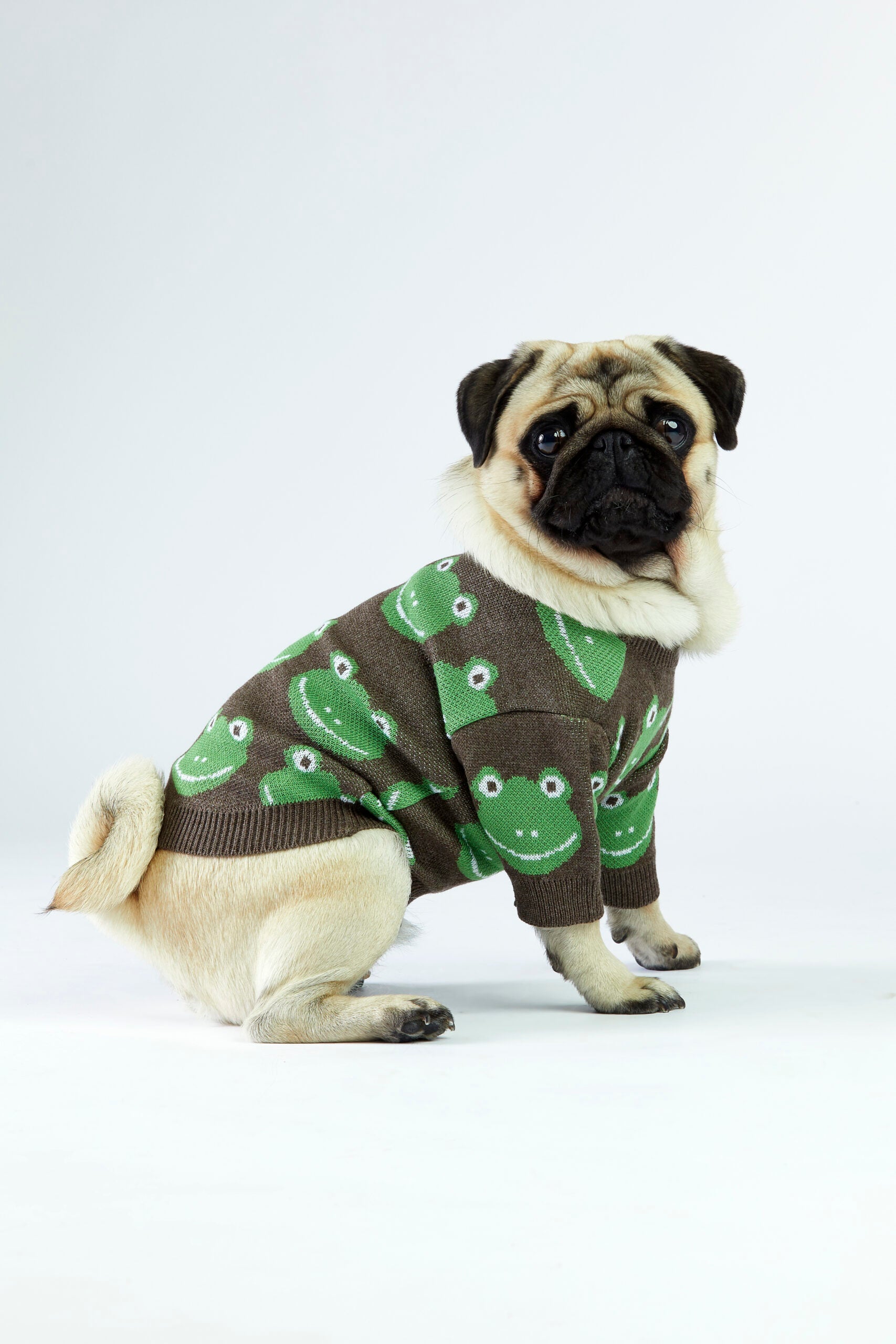 Brązowy sweterek dla psa w żabki