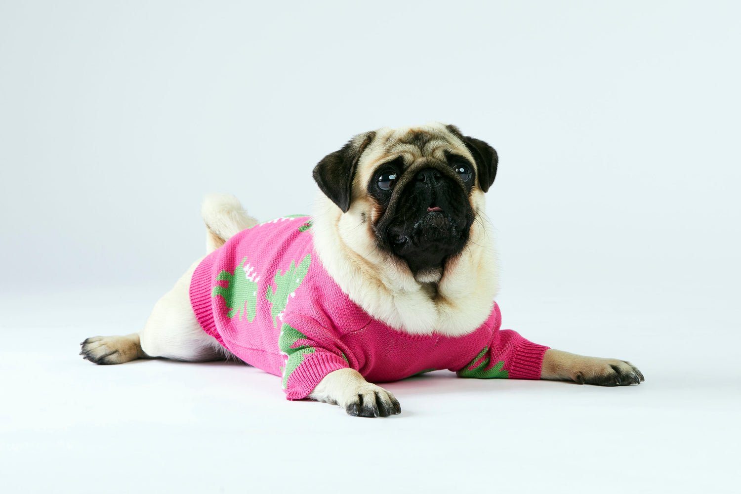 Różowy sweterek dla psa w dinozaury