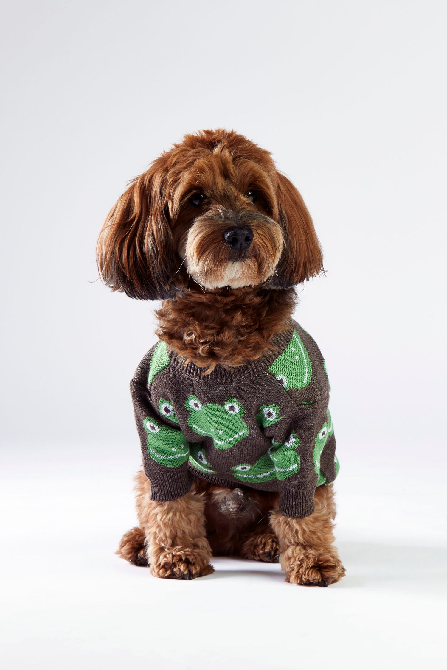 Brązowy sweterek dla psa w żabki