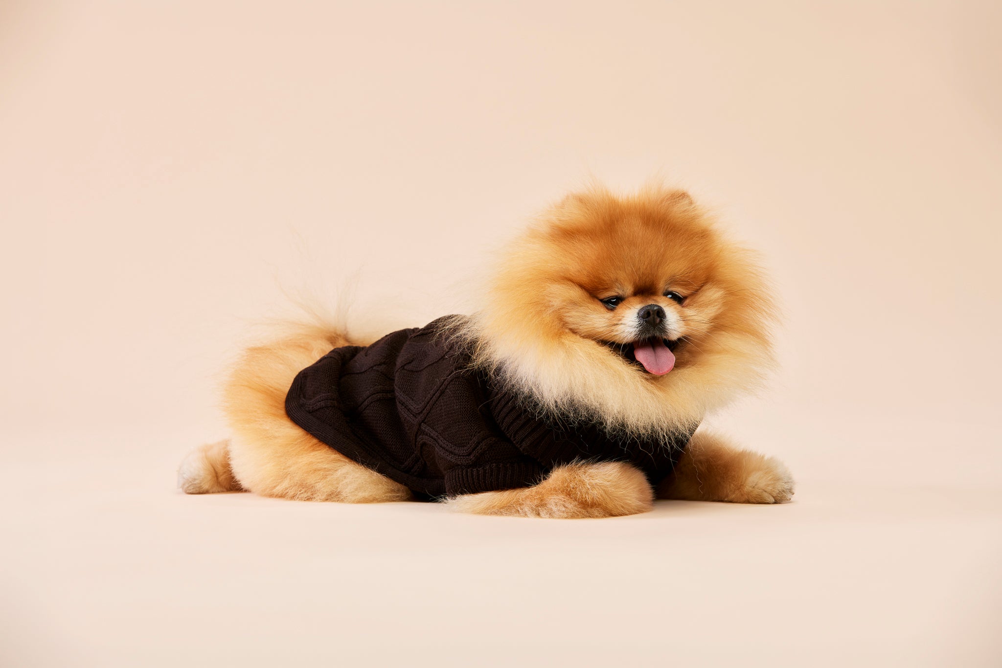 Woofy Chocolate Fondant sweterek z golfem dla psa