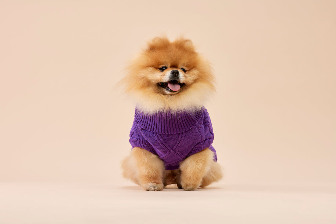 Woofy Alice Lilac sweterek z golfem dla psa