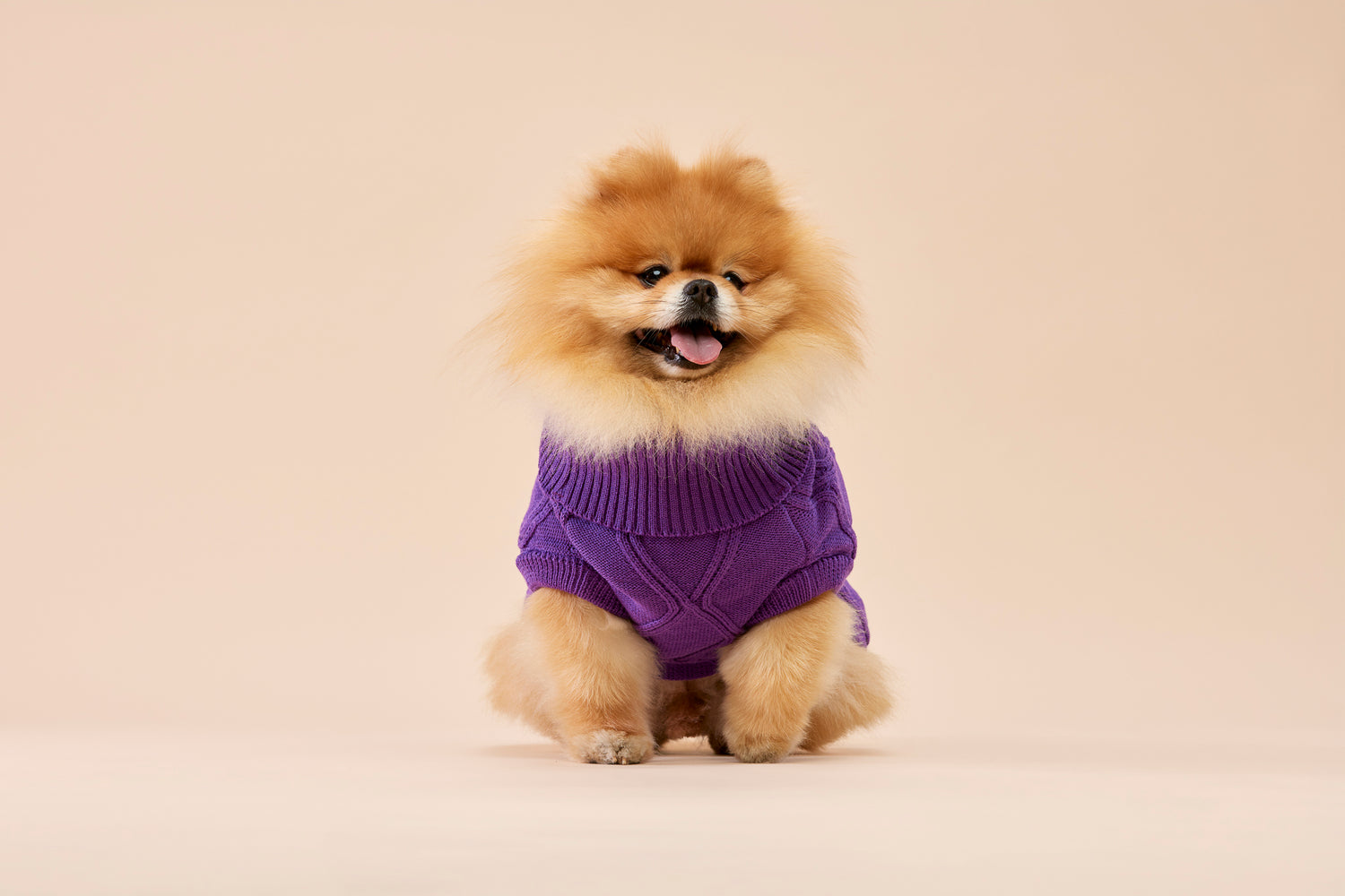 Woofy Alice Lilac sweterek z golfem dla psa