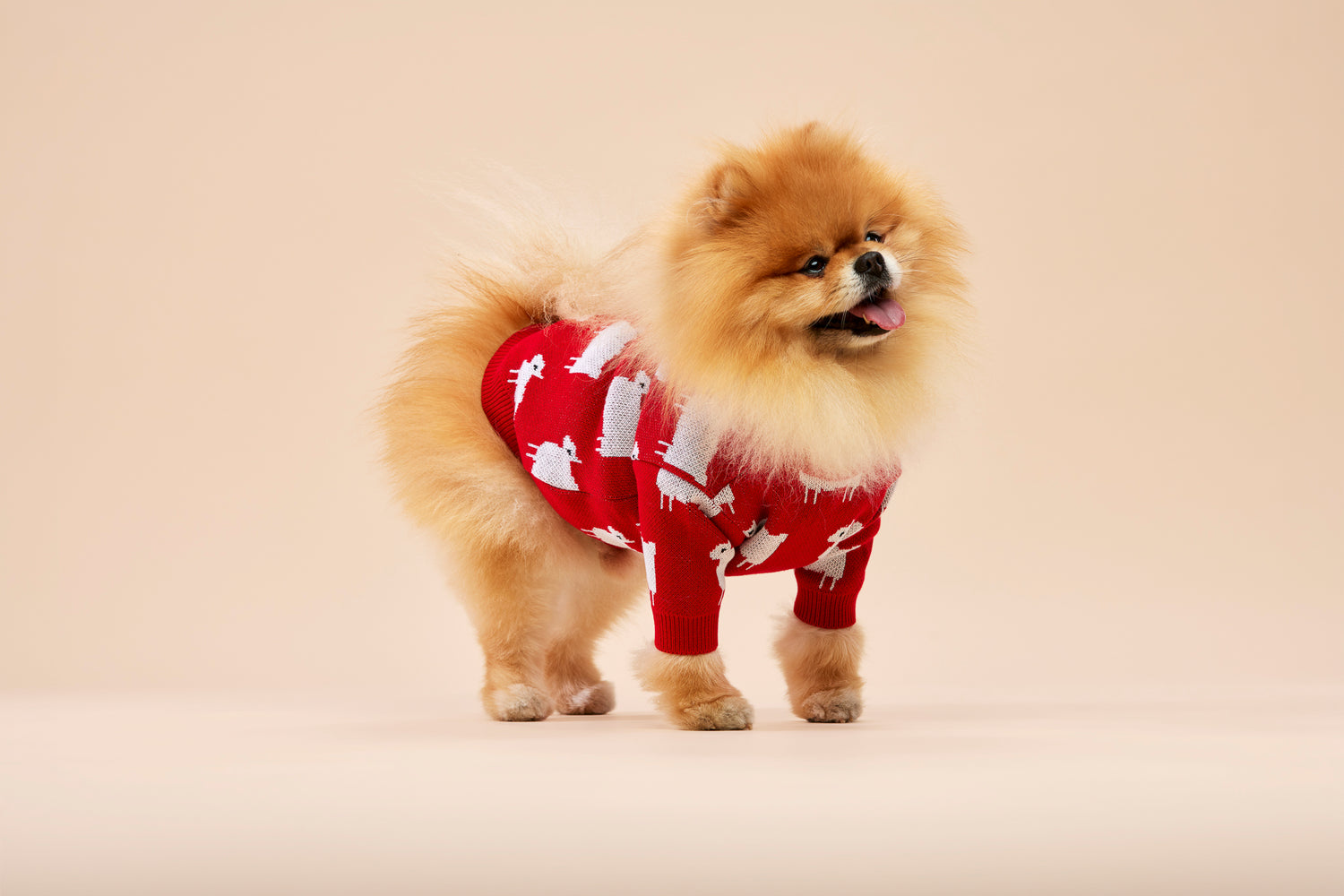 Sweterek DIANA w owieczki