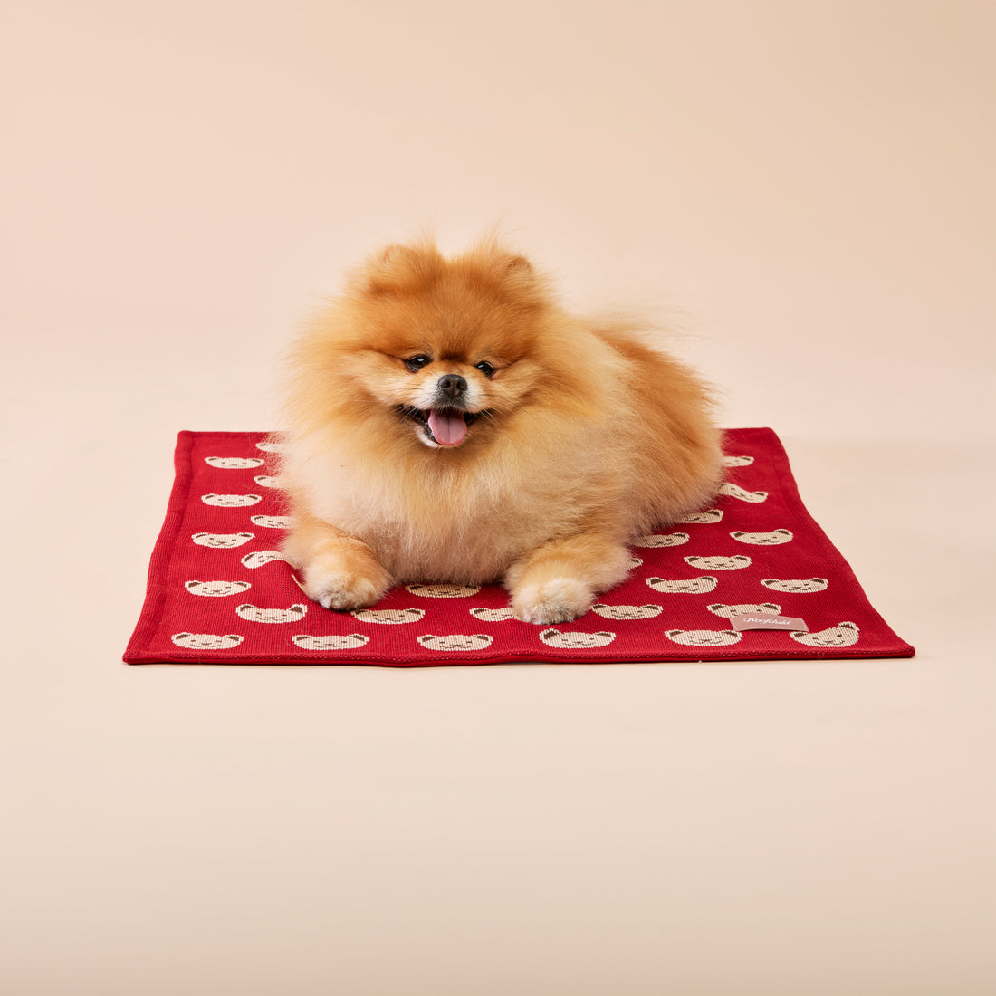 Kocyk burgundowy w misie