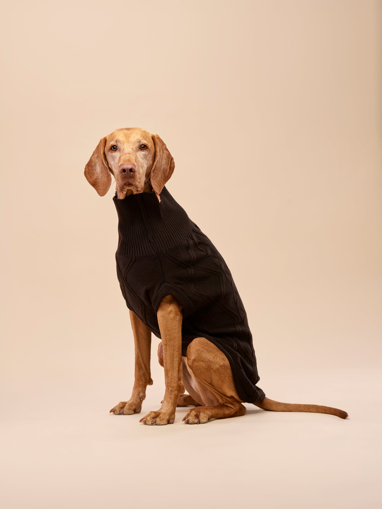 Woofy Chocolate Fondant sweterek z golfem dla psa