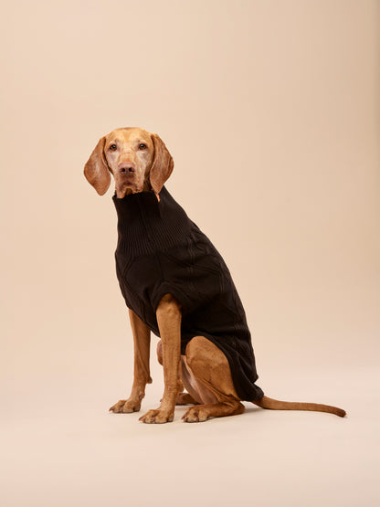 Woofy Chocolate Fondant sweterek z golfem dla psa