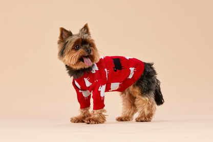 Sweterek DIANA w owieczki