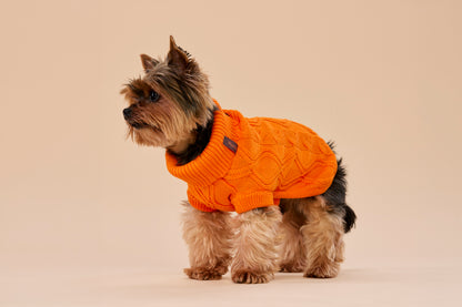 Woofy Pumpkin Pie sweterek z golfem dla psa