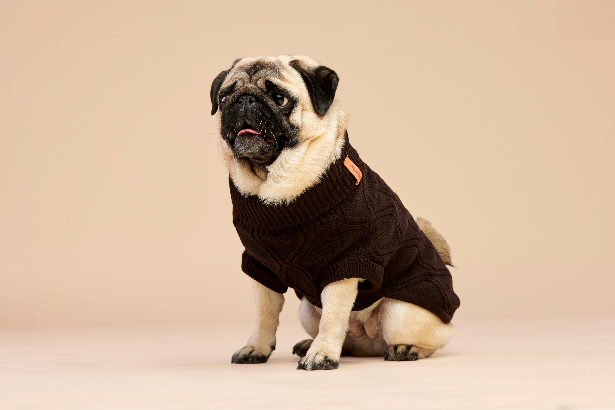 Woofy Chocolate Fondant sweterek z golfem dla psa