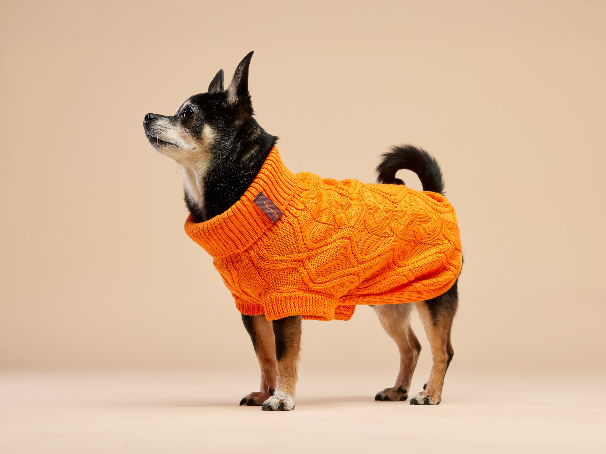 Woofy Pumpkin Pie sweterek z golfem dla psa