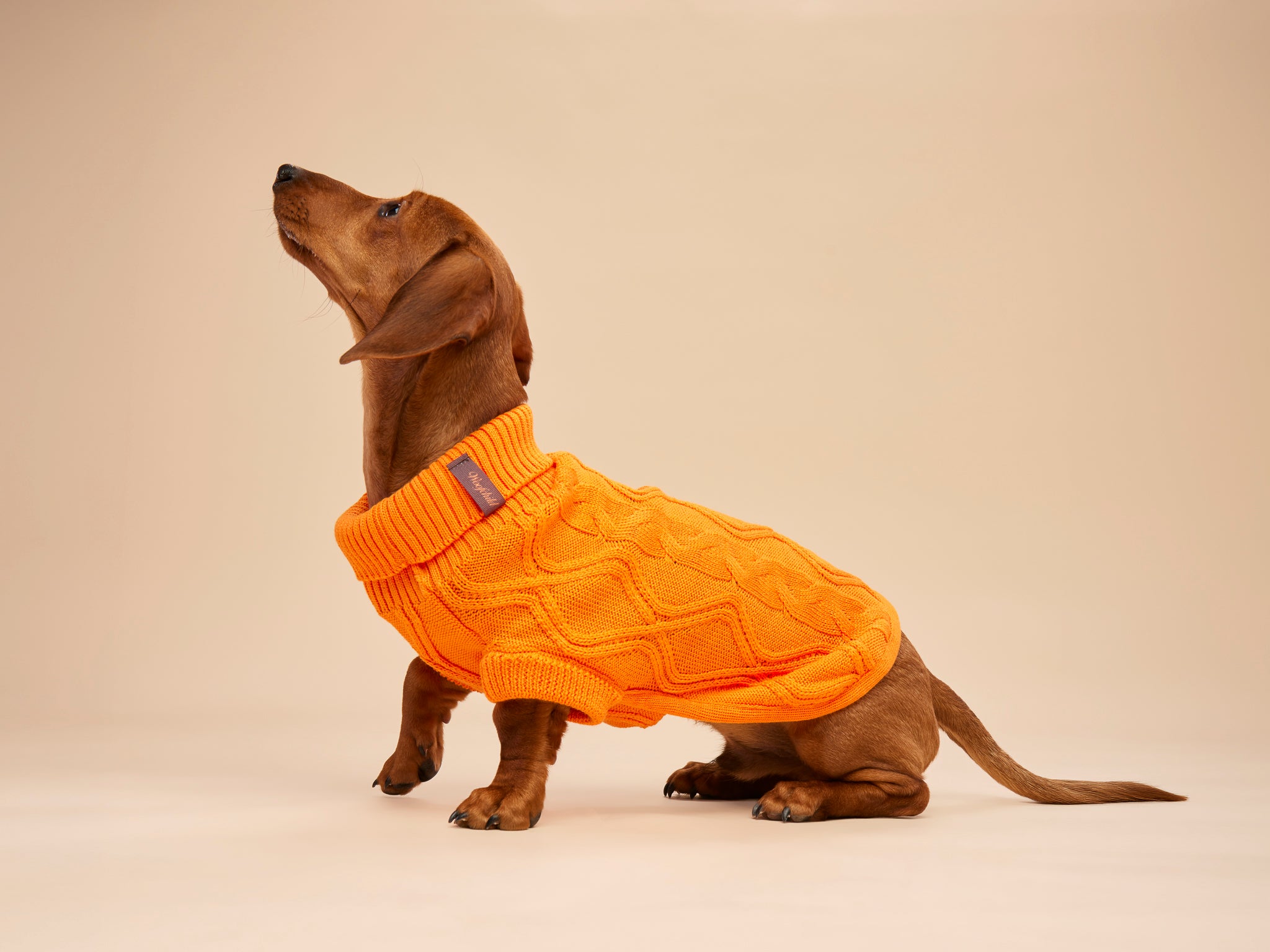 Woofy Pumpkin Pie sweterek z golfem dla psa